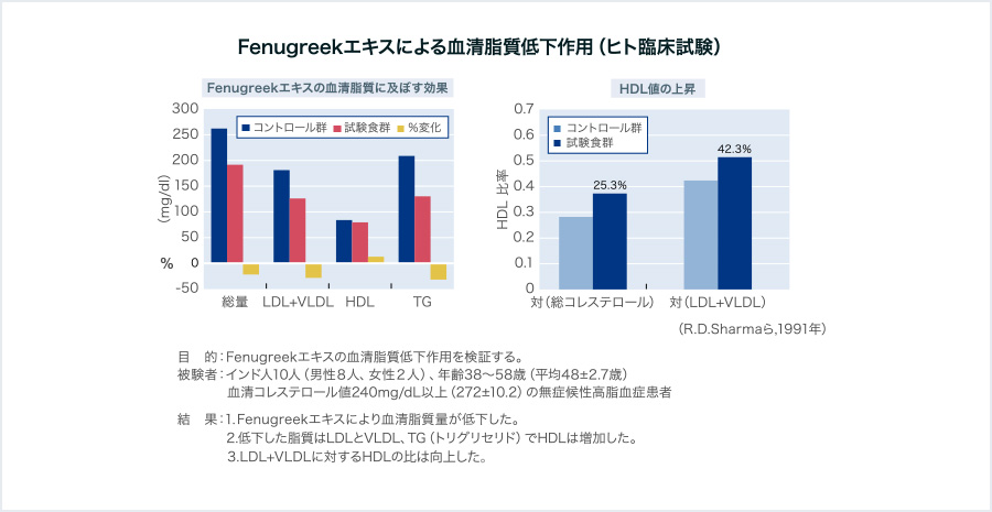 血清脂質低下作用（高脂血症対策）