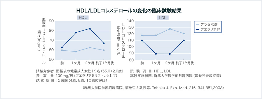 脂質代謝異常の改善